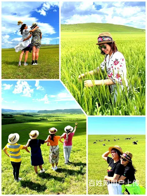 呼伦贝尔靠谱旅游大草原品质包车联系方式 - 图片 1