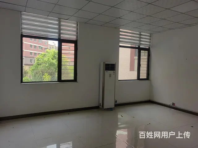 商铺出租 - 图片 4