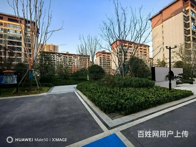新区  示范区实验 东方府 电梯洋房 毛坯房 - 图片 4