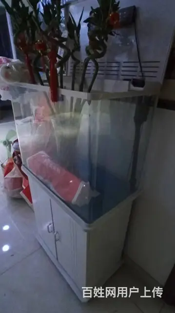 【搞定了！】自用九层新给钱就卖，出售两件物品，酒柜鱼缸玄关电 - 图片 1