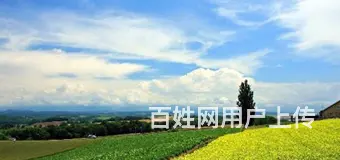常德到长沙拼车黑车商务车电话 - 图片