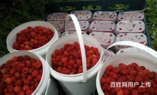 香港高薪招聘酒店客房保洁月薪22000包吃住 - 图片 4