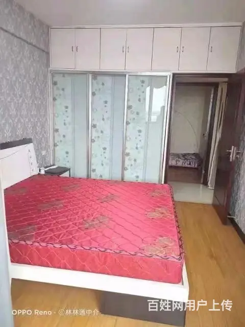 智华大厦 普通住宅1厅 中等装修 - 图片 4