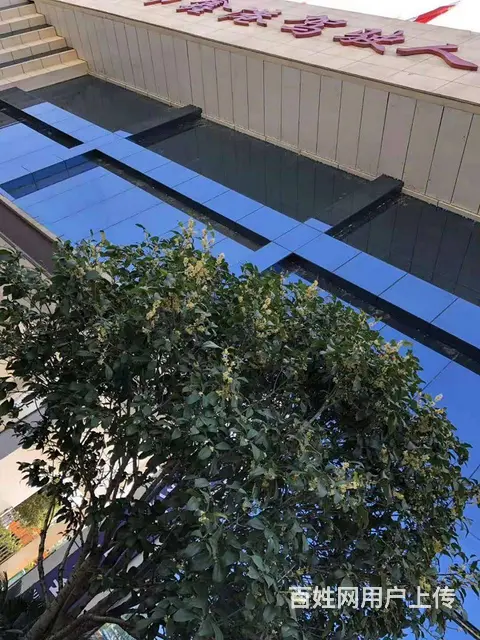 说一说我在孝昌报名增驾A2大挂车的过程 - 图片 8