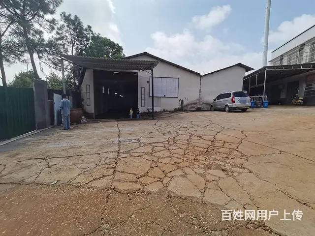 （老板本人）望城区自建厂房仓库房东直租 5250 - 图片 5