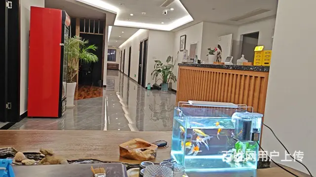 含二个月房租棋牌室转让，证件齐全接手可直接经营。 - 图片 8