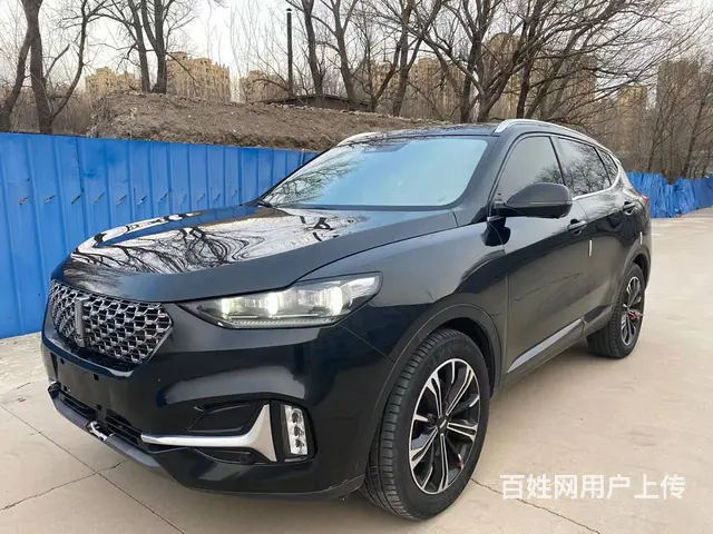 WEY VV6 2021款 2.0T 双离合 两驱智行 - 图片 8