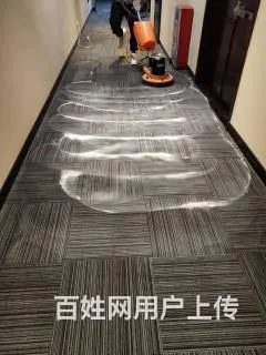 苏州专业地毯清洗 羊毛纤维地毯清洗 地毯除螨吸尘 - 图片 4