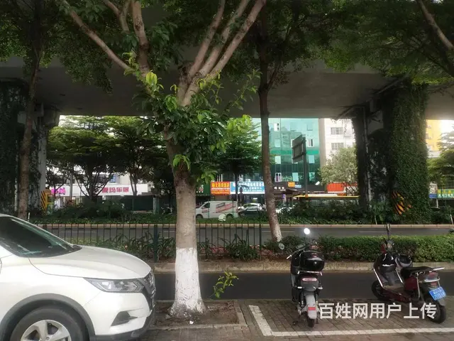 （51旺铺推荐）龙华区海秀中路转让56平小吃店转让 - 图片 6