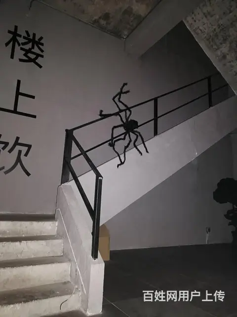 （51旺铺推荐）金鸡岭300平独栋铺面出租 - 图片 12