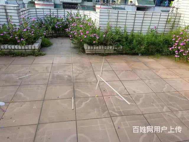 彩虹花园地铁l口(湖里-江头) 2房1500元包物业 - 图片 5