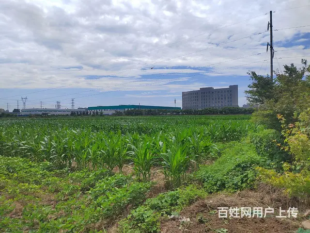 临沭县工业区内工业用地出售，直接一手出让，成本价。 - 图片 3