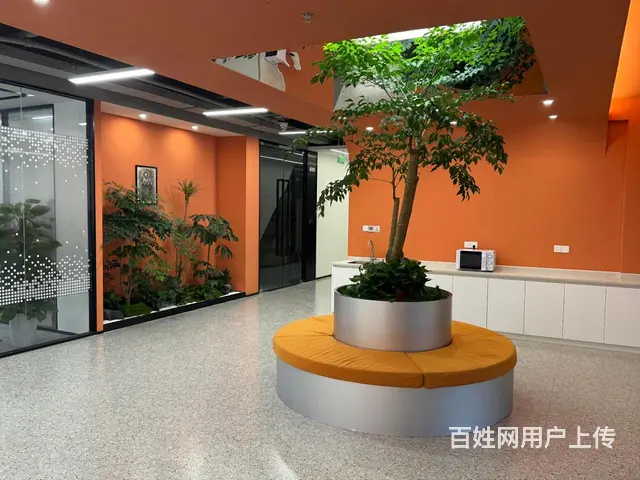 泰豪数娱中心，华中南路，出租60至1800方，大小可挑选！ - 图片 2