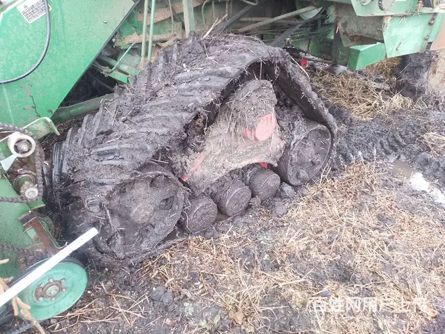 出售履带 - 图片 2