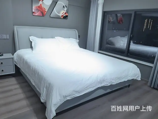 文沃广场公寓 公寓1厅 精装修 - 图片 5
