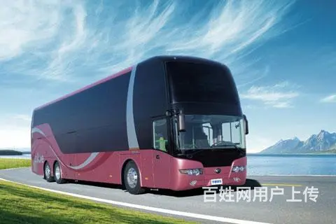 宜春宠物托运（猫狗）活体宠物邮寄快递（2022宠物运输） - 图片 3