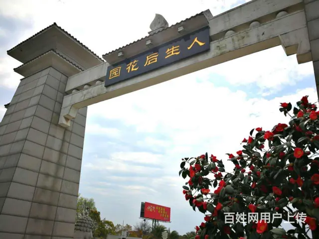 武汉当地殡葬服务丶一条龙丧葬服务 - 图片 1