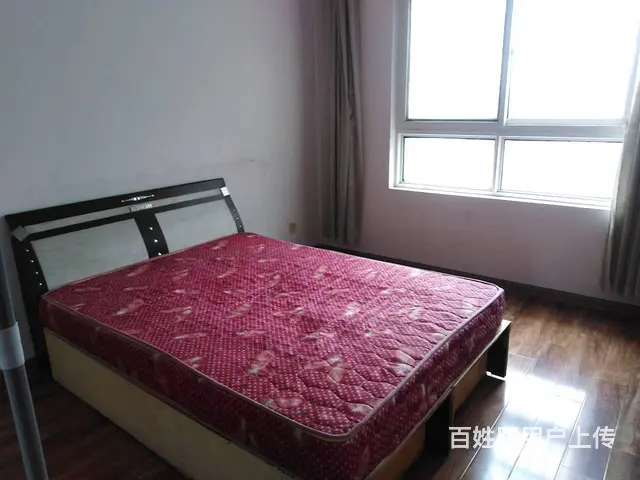 南洋国际房屋出租 - 图片 4