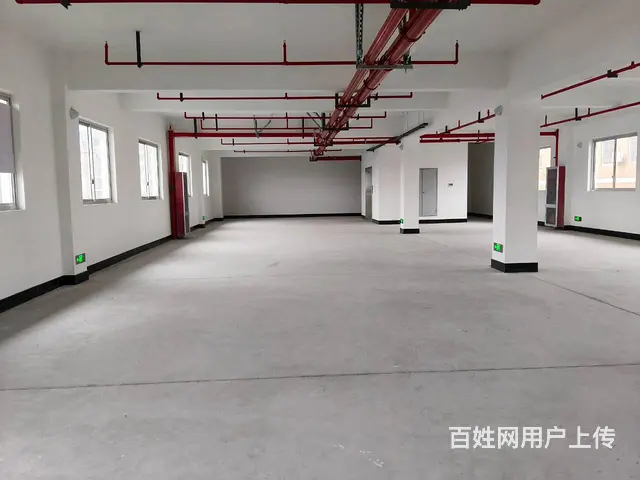 萧山所前镇13200方标准厂房出租（500方起租）， - 图片 6