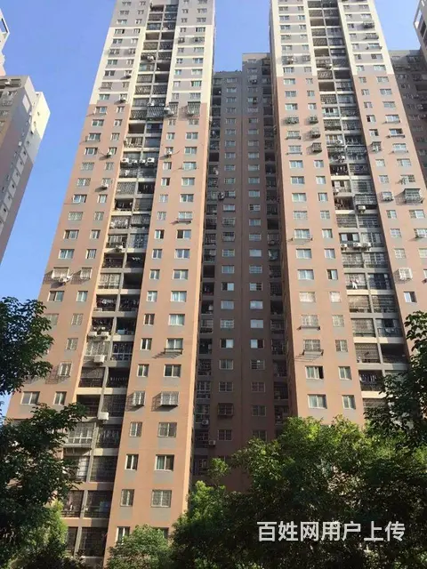 4号线铁机路地铁 岳家嘴 欢乐大道 金地广场 精装 - 图片 11