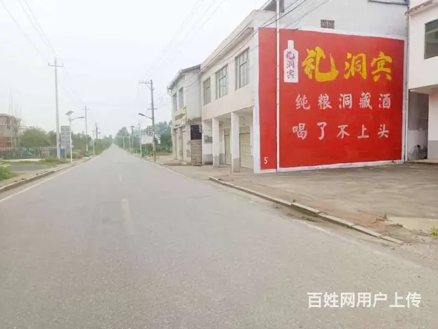 苏州江苏墙体广告,振兴乡村绘画喷绘布广告 - 图片 2