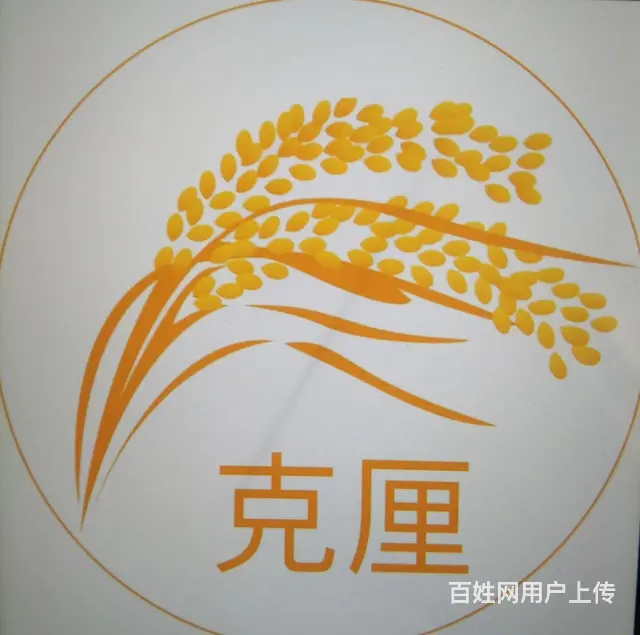 克厘信息咨询 - 图片
