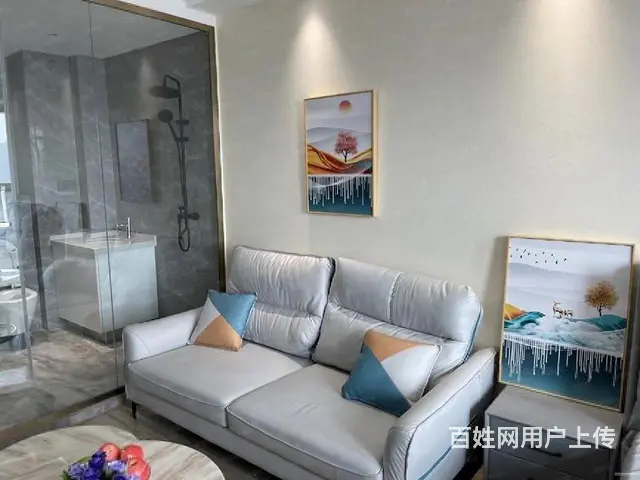 惊爆价总价27万起工抵直签39平 弘阳广场旁华润高品质 - 图片 4