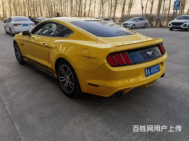 福特Mustang [野马] 2016款 2.3T 手自一体 - 图片 1