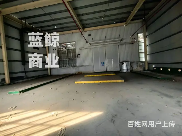 500平纯一层仓库出租 - 图片 3