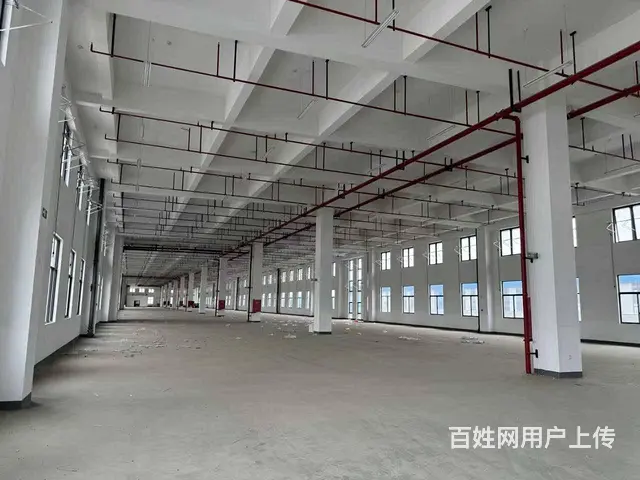 （城市在线找房免费）时代大道丙二类标准厂房出租 - 图片 7