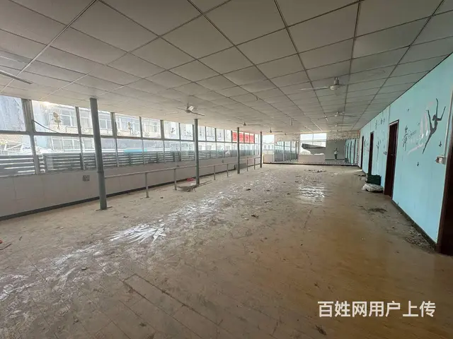 （徐州找店网）泉山区西三环边王新庄独院出租 - 图片 7