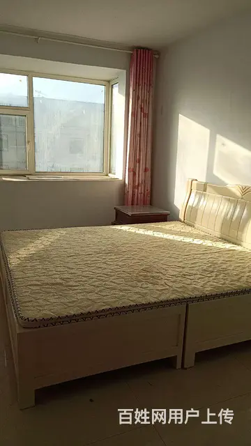 我的房子出租 - 图片 1