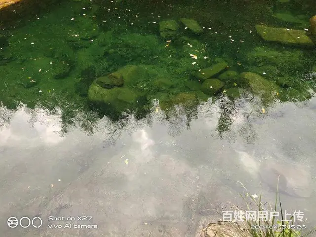 泉城施教区，三室，简单，装修，家具家电，齐全拎包入住，有钥匙 - 图片 6