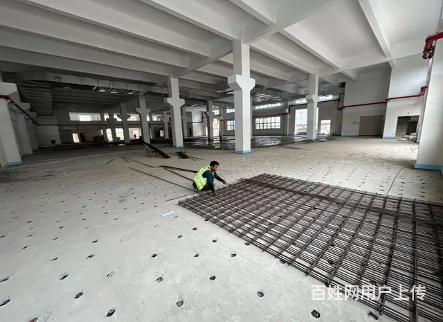 太仓新建厂房出租厂房（独门独院层高跨度大） - 图片 4