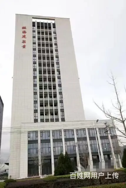 D9 139 O586 8527临海建筑业大楼 写字楼出租 - 图片 1