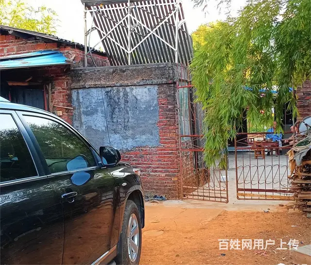 广东韶关150亩林地转让18年年限 - 图片 3