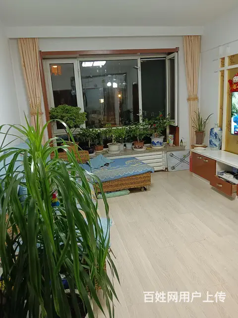 德政小区21中学区房 - 图片 1