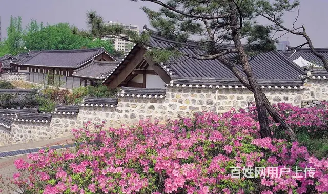 洛阳韩语课程学习去哪里？韩语怎么学？ - 图片