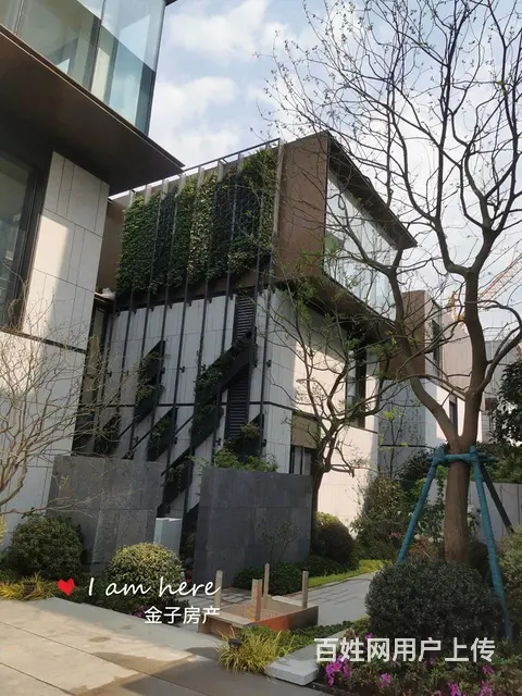 西溪印独栋商墅上下5层1500方精装现房通燃气 送花园地下室 - 图片 12