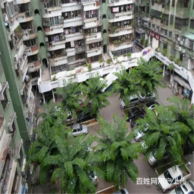 南希花苑  配套齐全   进公园  楼层好 - 图片 10
