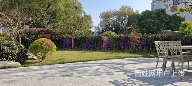 杭州滨江区陈家村小独栋办公室出租，环境优美 - 图片 3