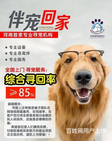 寻狗团队河南有哪些,郑州找猫找狗团队寻宠团队多少钱 - 图片 1
