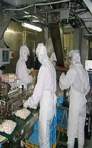 正规出国劳务（工签实力保签）年薪60万 - 图片 2