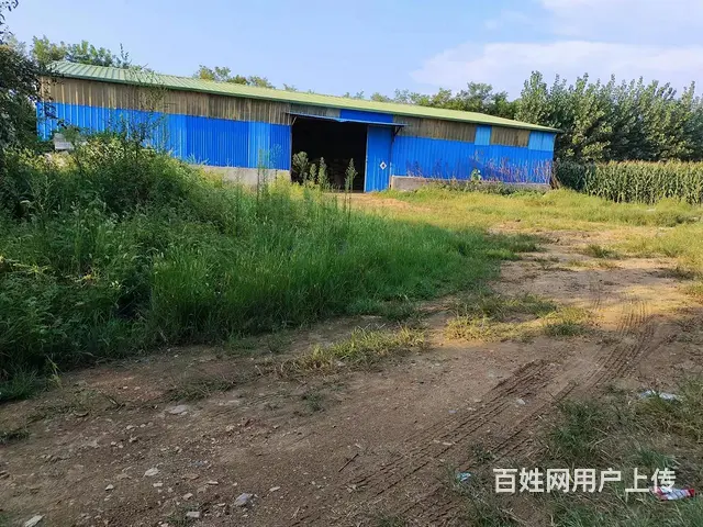 （58今铺）沂水400平厂房带4亩院子出租可做加工或仓储（吴 - 图片 5