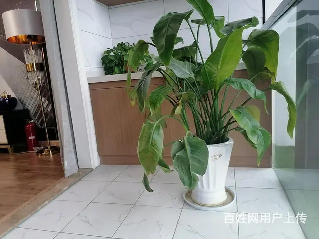 翠苑荟售楼部团购热线 - 图片 7