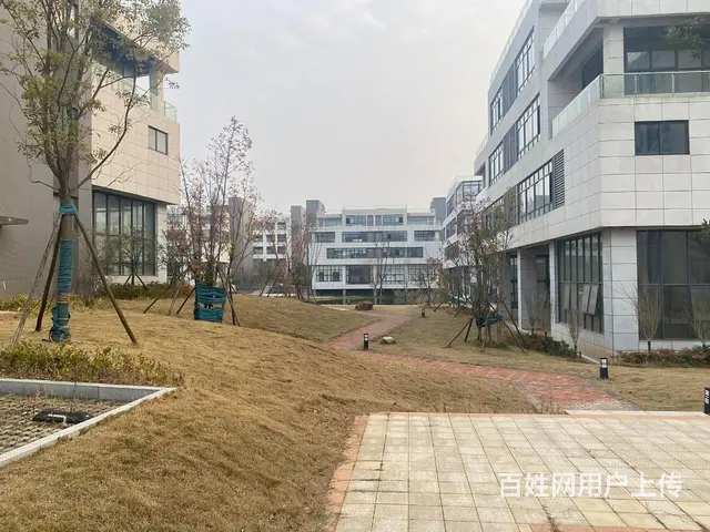 开福区金霞未来城1800平花园厂房、办公、电商仓储优价出租 - 图片 12