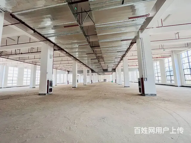 房东直租100平至20000平标准化厂房、消防已过、安心生产 - 图片 2
