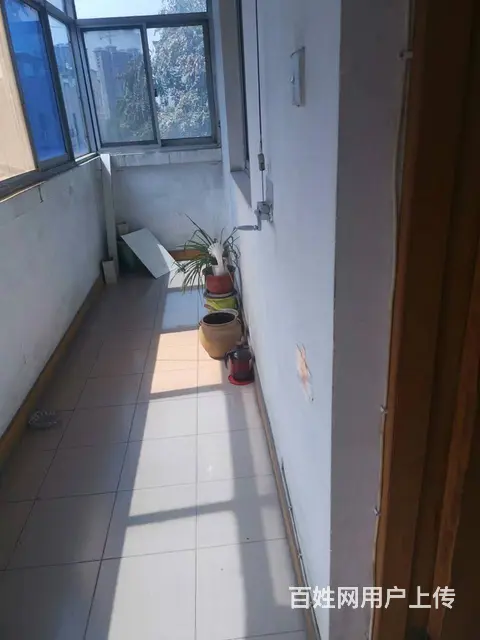【搞定了！】纱厂西路五岳路洛冷小区 普通住宅2厅 精装修 - 图片 4