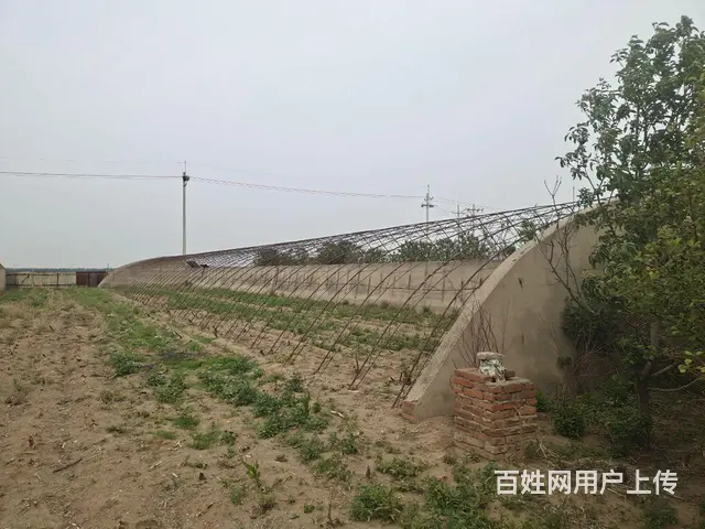 大棚出售 - 图片 1