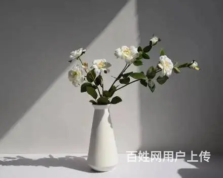 郑州哪家插花培训学校专业 - 图片 3